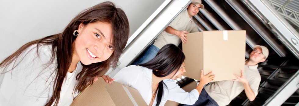 Professional Removalists Douglas Point South